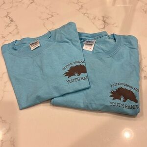 NEW Two (2) Horse Dreams Unisex T-Shirts | Sizes Small & Large | Blue